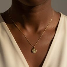 پلاک زودیاک